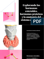 Wepik Explorando Las Hormonas Esteroides Hormonas Proteicas y La Anatomia Del Sistema Endocrino 20231109021322EHjo