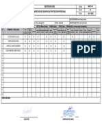 Programa de Inspección de EPP