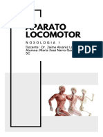 Aparato Locomotor