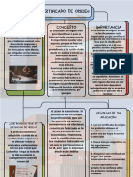 Mapa Conceptual Certificado de Origen