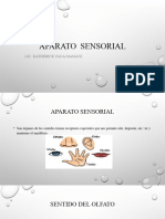 Aparato Sensorial