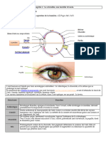 Oeil Cours 1