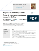 Molecular Characterization of Extended Spectrum B