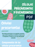Celulas Procariontas y Eucariotas