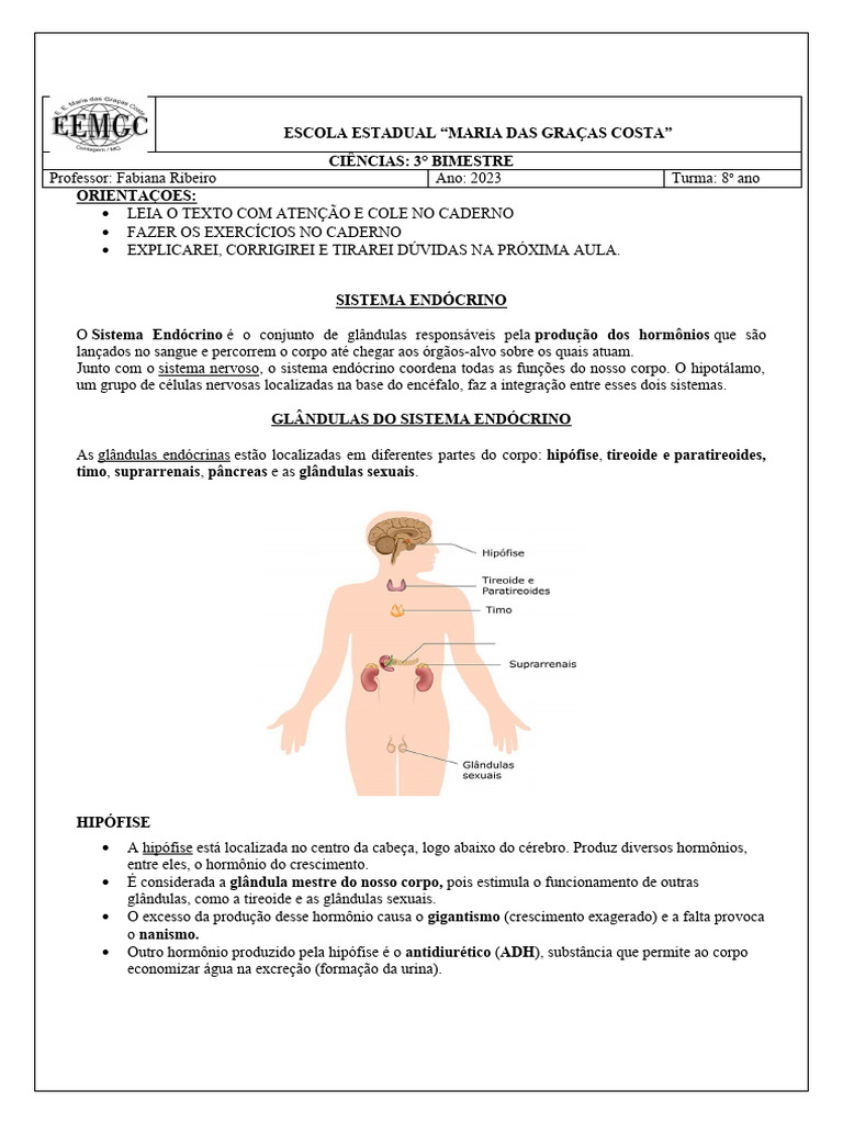 8° ANO SISTEMA ENDÓCRINO | PDF | Corpo humano | Tireoide