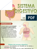 Sistema Digestivo