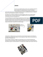 Analisis y Resultados