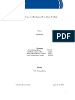 Estudio de Caso Sobre Los Elementos de Un Sistema de Trabajo