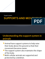 Supports and Movement