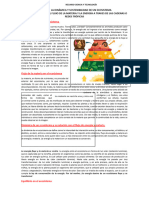 Recurso La Dinámica y Sostenibilidad de Un Ecosistema. Primer Año