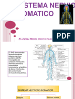Sistema Nervioso Somatico: Alumna: G