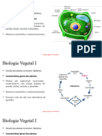 Plantas - Enem - 2021 - Somente Leitura