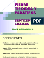 Fiebre Tifoidea y Paratifoidea