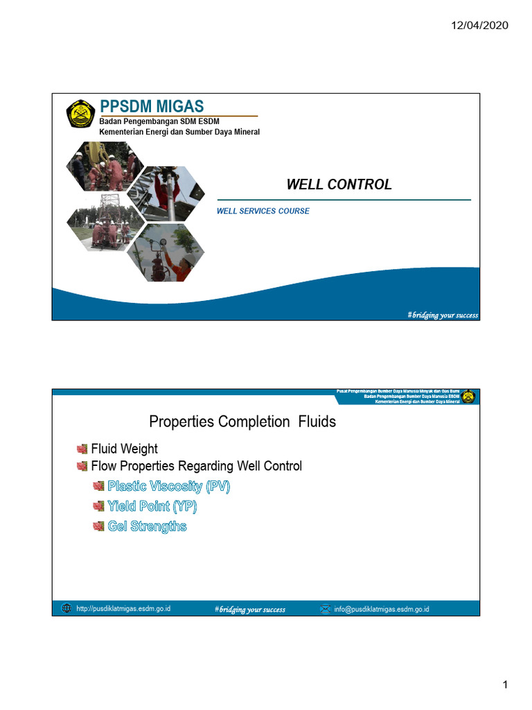 Completion Fluids | PDF