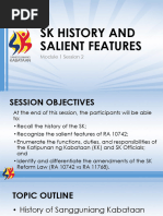 Revised IRR of SK Reform Act 10742 | PDF | Governance | Government