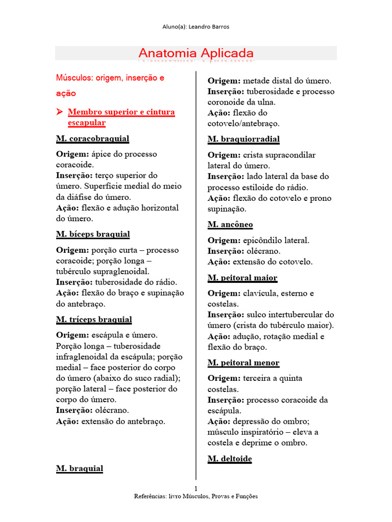 Origem e Inserção dos Músculos | PDF | Membros (anatomia) | Anatomia humana