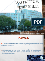 C.difficcile. Sintesis