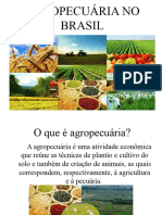 Agropecúaria No Brasil Slide