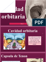 TEMA 6 Cavidad Orbitaria