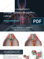 Tema 8 - Irrigación y Drenaje Linfático de Cabeza y Cuello - DIAP