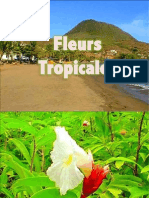 Fleurs tropicales