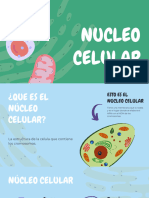 Núcleo Celular