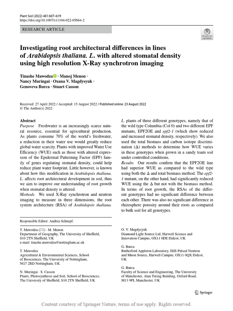 Arabidopsis Root Architecture & Stomatal Density Study | PDF | Root ...