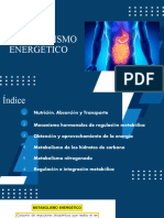 Metabolismo Energetico Luis R