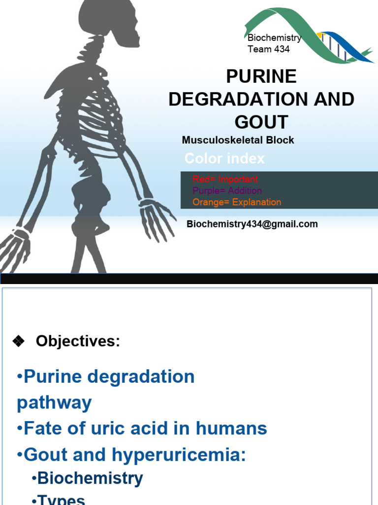 4purine degradation and gout PDF Gout Metabolism