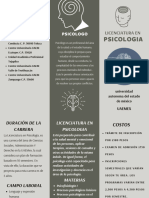 Triptico Psicologia