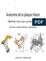 Anatomie de La Plaque Hilaire