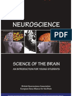 Download Neuroscience Science of the Brain by International Brain Research Organization SN68484372 doc pdf