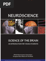 Download Neuroscience Science of the Brain by International Brain Research Organization SN68484372 doc pdf