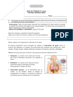 5°ciencias Naturales Guía de Trabajo. La Célula