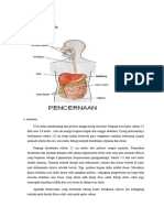 Revisi Ileus