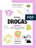 ENSAYO (Consumo de Drogas)