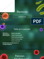 Procesos Patológicos Bacterias Pt3