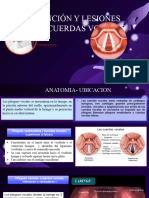 Disertacion Otrorrino Teo Completo Disfuncion y Lesiones de Las Cuerdas Vocales. Gruopo 6 Teo