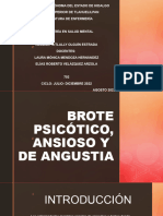 Brote Psicótico, Ansioso y de Angustia