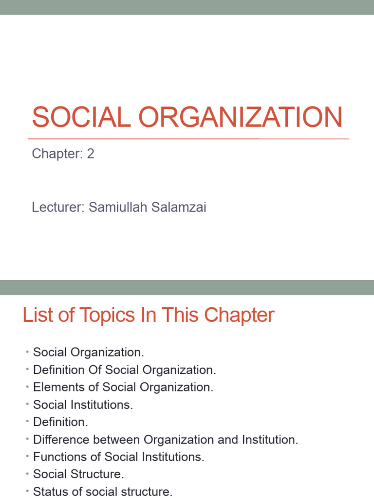 Understanding Social Organization Concepts | PDF | Institution | Social ...