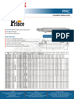 Prince 3000 Psi - PDF Cilindros