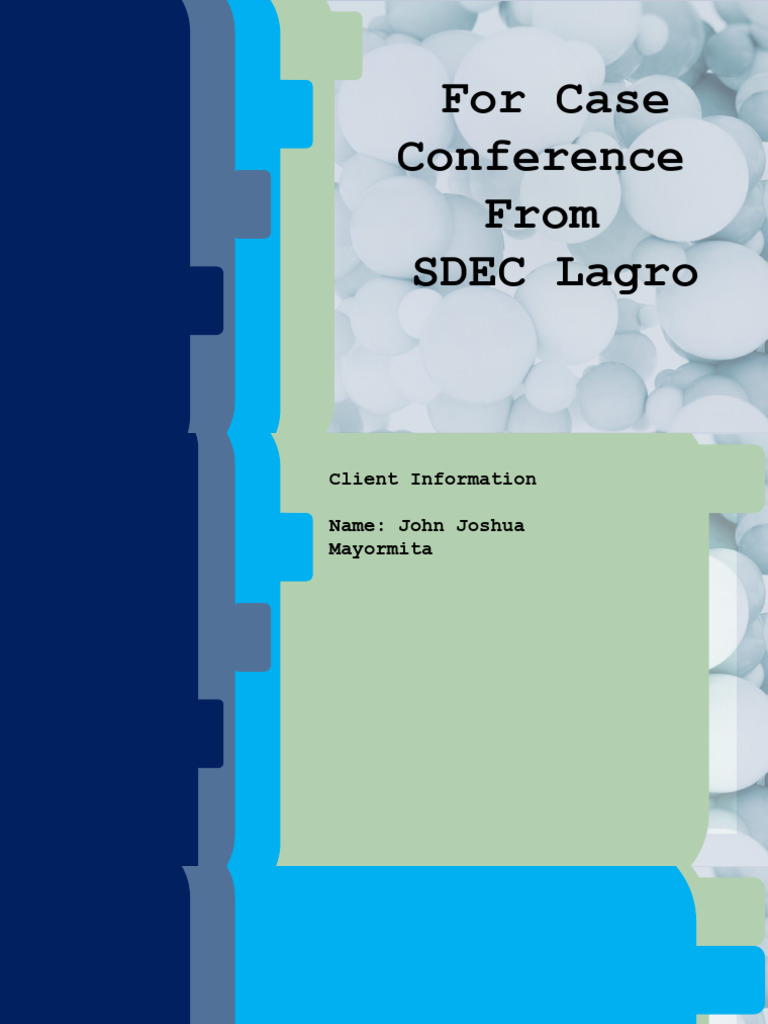Case Conference PDF