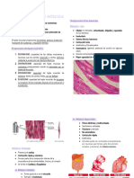 Gneralidades de Músculo