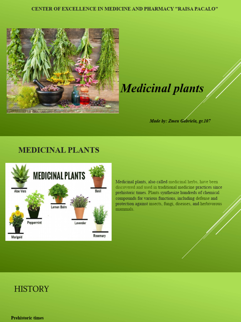 Medical Plants | PDF | Clinical Medicine | Medicine