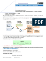 Differentes Phases de La Photosynthese