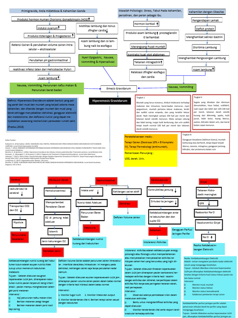 Penatalaksanaan Hiperemesis Gravidarum | PDF