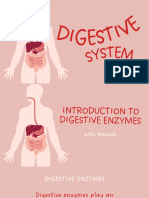 Digestive System Educational Video in Red Pink Illustrative Style