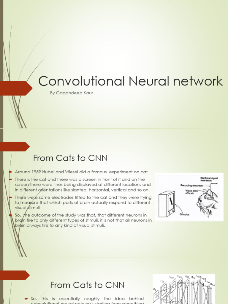 Convolutional Neural Networks Overview | PDF | Computational ...