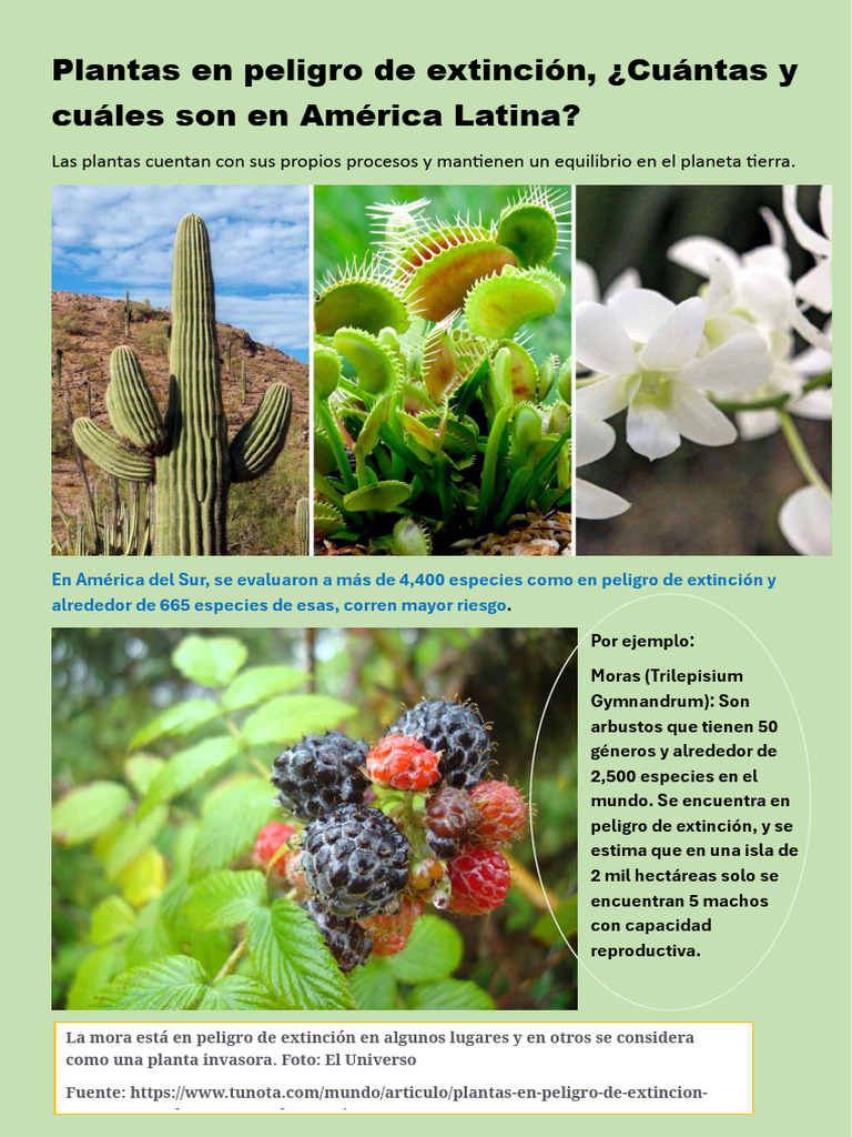 Plantas en Peligro de Extinción Rompecabezas | PDF