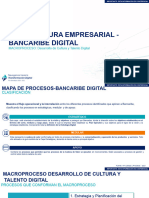 Lev Inf. Macroproceso VP Aliados de Negocios 11.11.2021